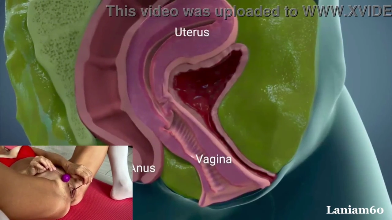 Watch anatomy of vaginal opening, vaginal wall anatomy, vaginal anatomy picture, vaginal anatomy video porn movies and download anatomy of vaginal opening, vaginal opening anatomy, anatomy vaginal streaming porn to your phone